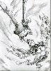 Filename=Meta_Marx2.gif
Filesize=112KiB
Dimensions=291x400
Date added=Sep 22, 2007 Meta_Marx2.gif