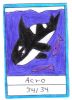 Filename=Acro.jpg
Filesize=94KiB
Dimensions=441x607
Date added=Jun 10, 2008 Acro.jpg