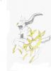 Filename=Arceus_small.JPG
Filesize=6KiB
Dimensions=200x275
Date added=Feb 27, 2009 Arceus_small.JPG