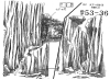 canyon_1.gif (353032 bytes)